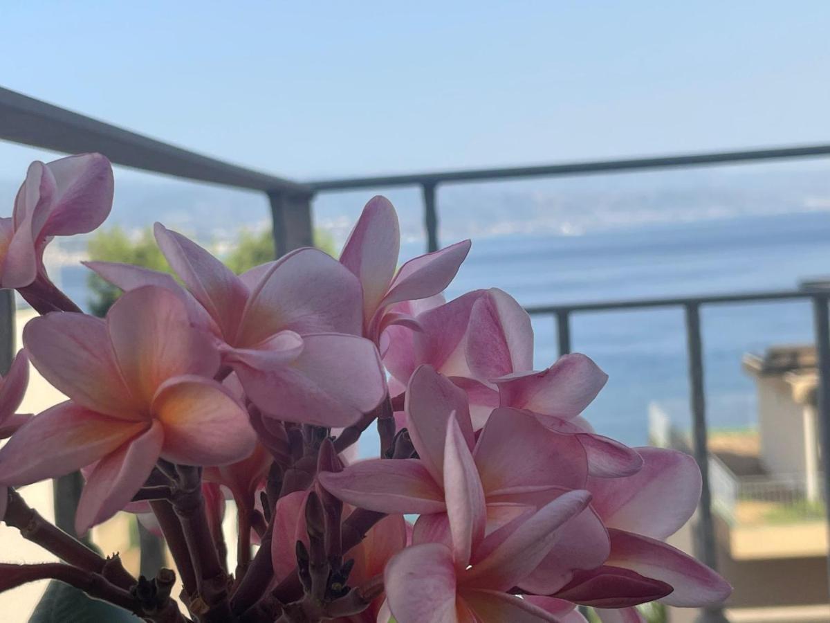 Casa Cannoni - Delizioso Fronte Mare Vista Stretto Di